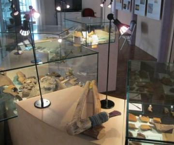 Museo Archeologico 
