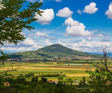 Panoramica dal Parco