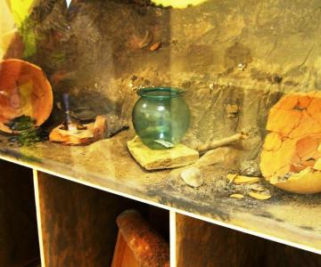 Museo Mino Meduaco 1 