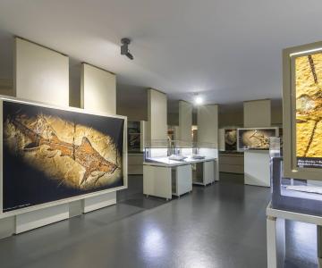 Museo dei Fossili