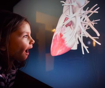 MUSME - foto di Alessio Vezzù 2