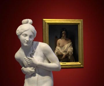 Galleria d'Arte Moderna Achille Forti