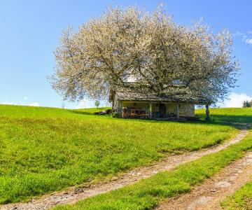 Cason delle Meraviglie 1