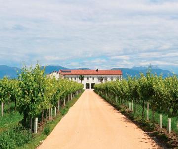 Casa Vittoria - Ristorante