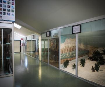 museo storia naturale_01