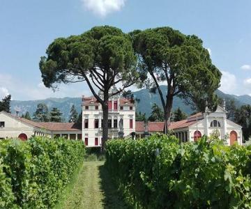 Villa Angarano Bianchi Michiel
