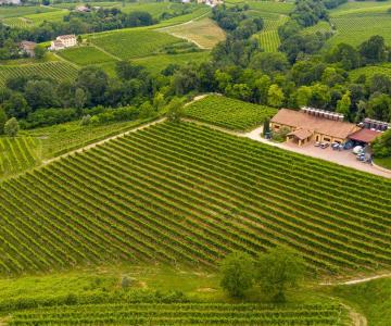 Fattoria Conca d'Oro