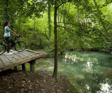 Sorgenti del Fiume Sile