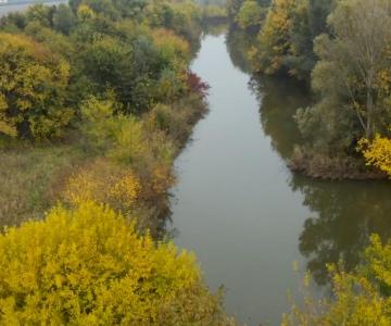 area umida monselice