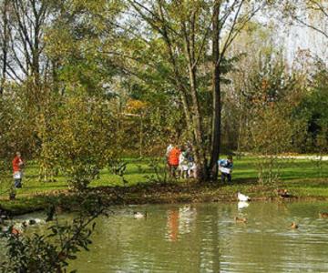 bosco del pettirosso