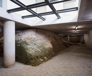 Ex Cantine Petternella