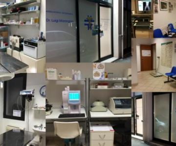 Ambulatorio veterinario Dott. Marangoni