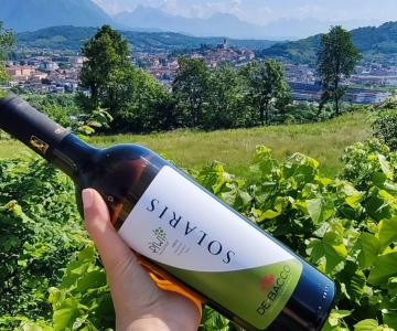 Vino Solaris- veduta di Feltre