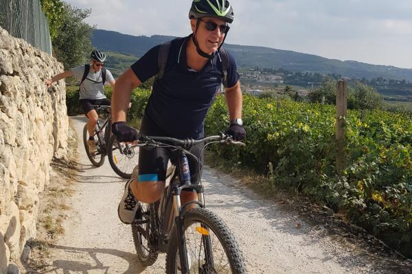 Su e giù per le colline di Bardolino