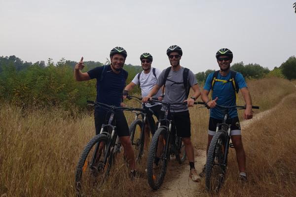 Strade tra i vigneti del Bardolino