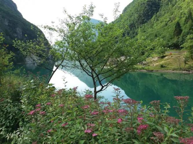 528d3343-462f-4f3b-9b5d-aa015b26a877