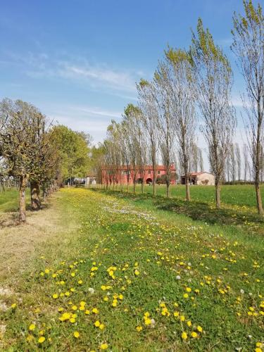 STRUTTURA_pioppicasafiori