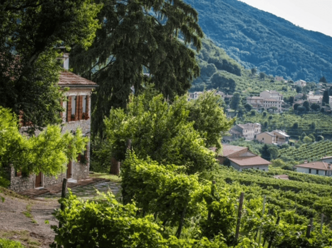 Locazione turistica: Valdobbiadene