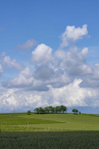 ripasso-qui_esterno-357