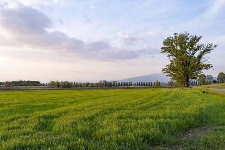 RipassoQUI_esterni_2864