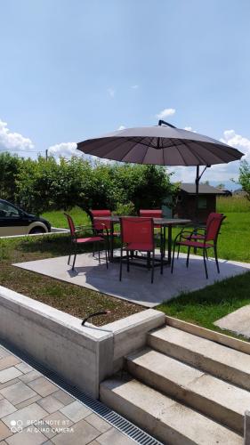 IMG-20231010-WA0016 (1)