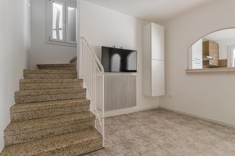 Fagare bassa risoluzione