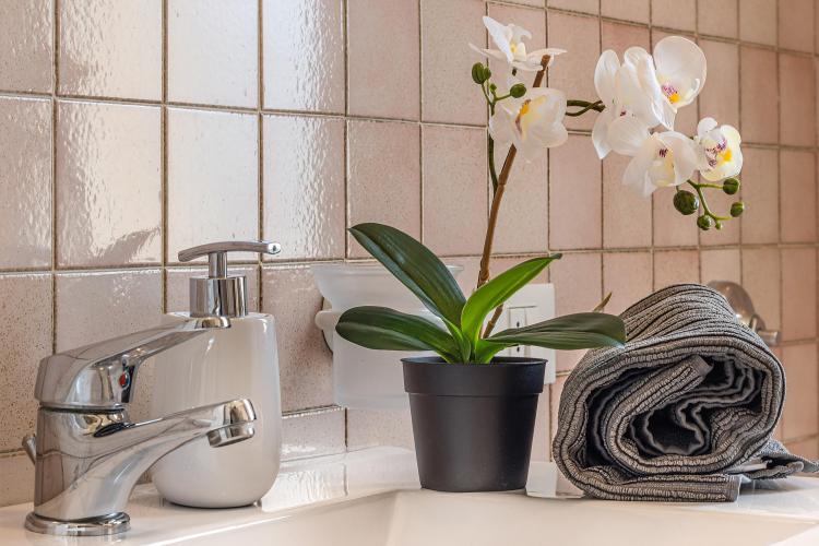 12 Flora Tv bassa risoluzione