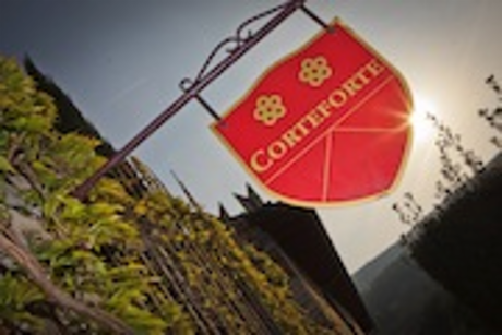 Scudo Corteforte.png