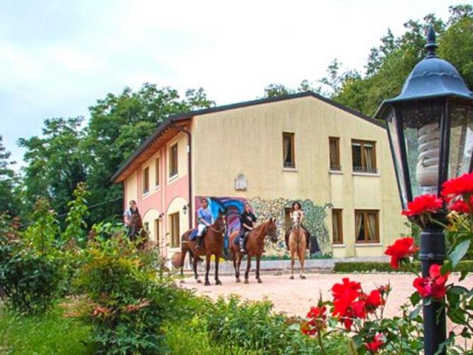 agriturismo-altobello-verona-ingresso-cavalli--102