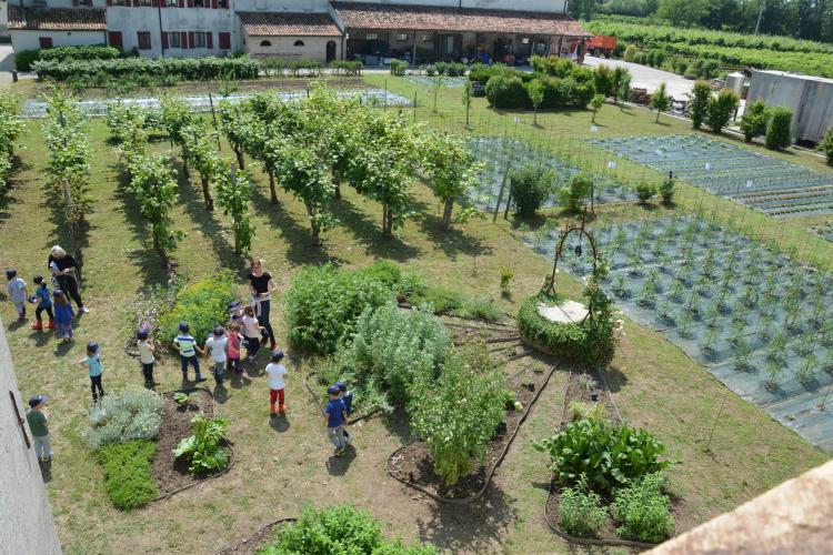 ATTIVITA DIDATTICHE ORTO