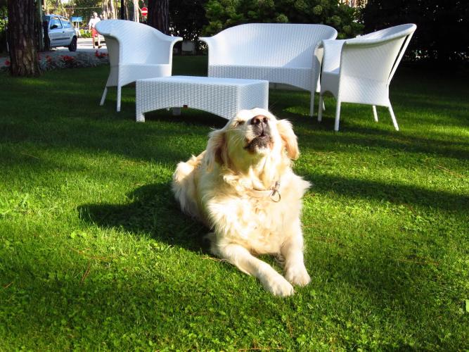 Beau Rivage ama gli animali