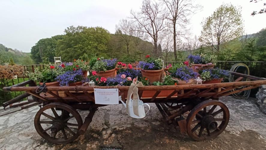 Foto carro fiorito 3