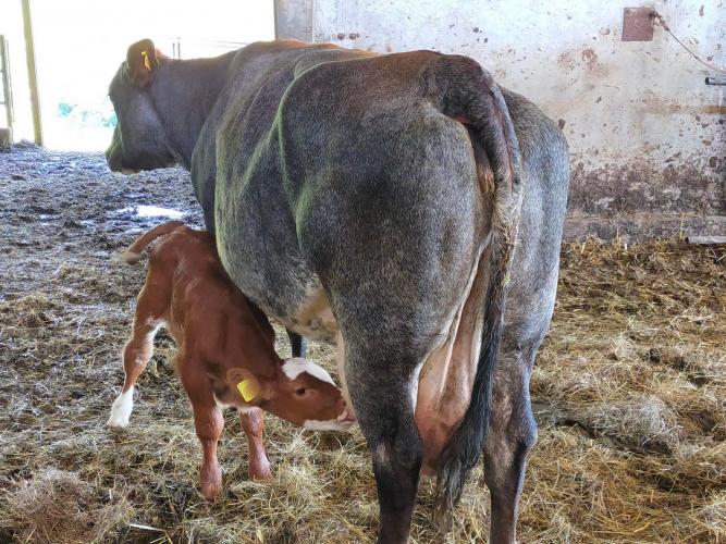 agriturismo fattoria didattica 2