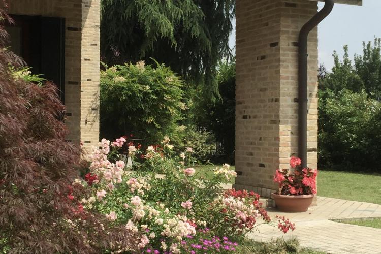 335A0391-1A58-419A-9BA9-859EC33DBC70_1_201_a