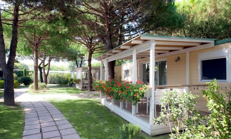 International Camping mobile home