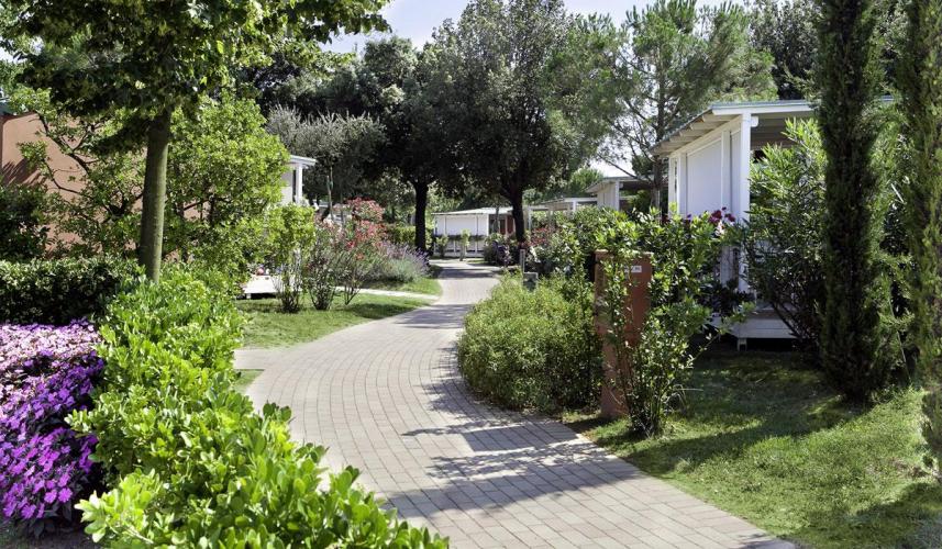 International Camping stradina