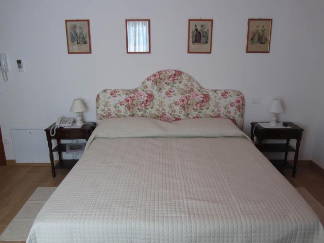 Ortensia immagini 053