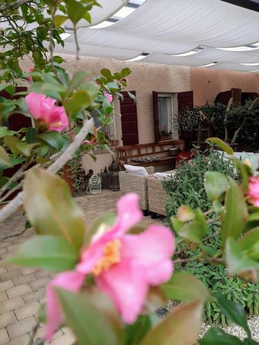 131716100_2833122550293058_3475046994772341864_n