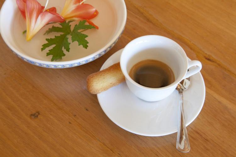 hotel Bellaria - details   I