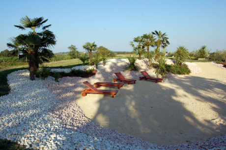 1.8 Oasi di sabbia (9).png