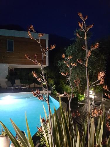Piscina di notte