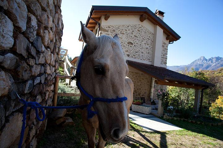 B&B L'Angolo di Paradiso