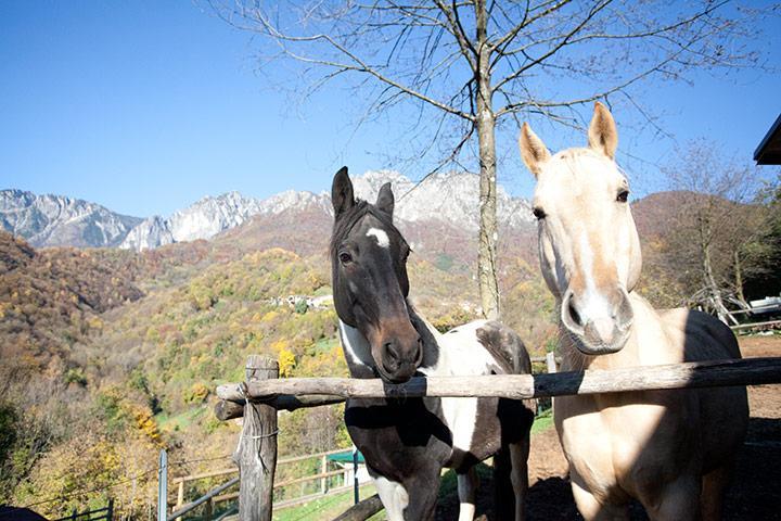B&b L'Angolo di Paradiso giardino