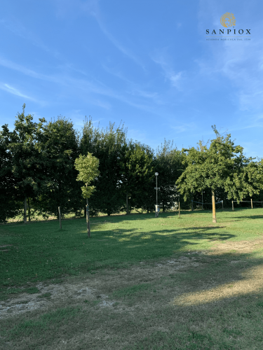 Alcune delle nostre piazzole