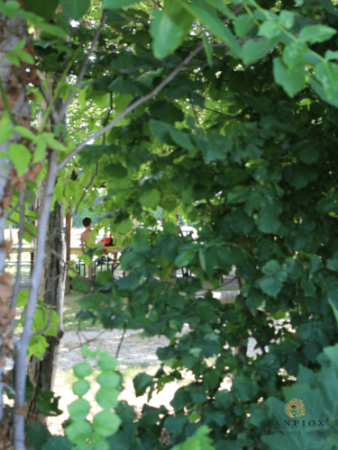 Scorcio di bambini nella natura.