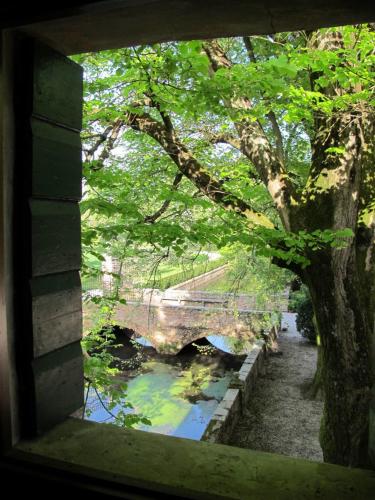 5. Foresteria - vista dalla camera