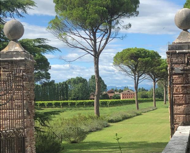 9. Villa Tiepolo Passi - parco rustico