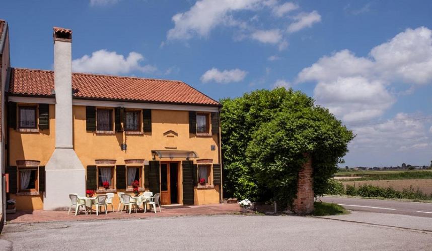 gallery-4-rose-7-1024x597