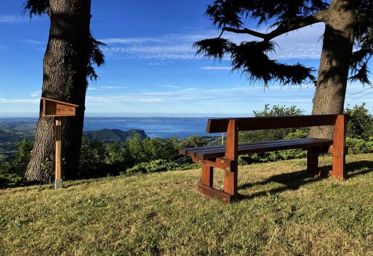 panchina e casa della parola