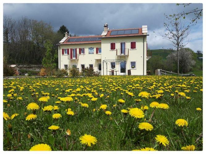 La primavera a Malga Zebari